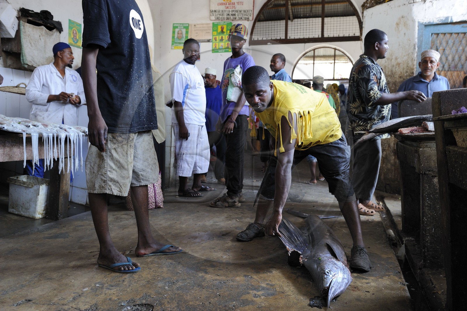 Tanzanie, Zanzibar, Stown Town, le marché de Darajani, marché au poissons