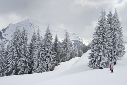 France, Haute-Savoie (74), Morzine
