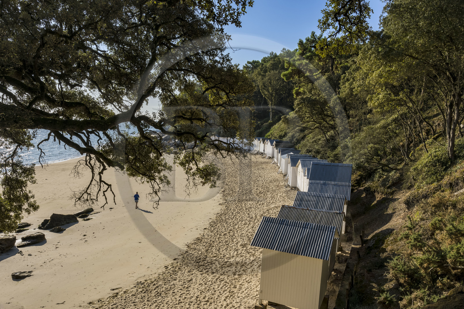 France, Vendée (85), Ile de Noirmoutier, Noirmoutier-en-l'Ile, le Bois de la Chaise, la plage de l'Anse Rouge et ses cabines de plage en bois