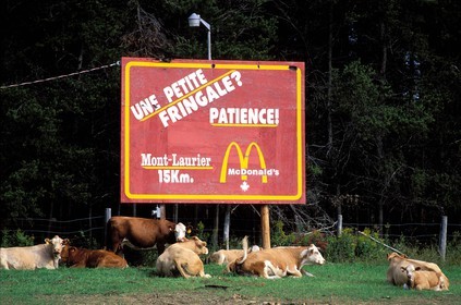 Canada, province de Québec, Abitibi-Témiscamingue, panneau publicitaire pour Mac Donald
