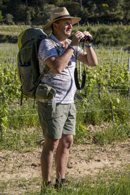 France, Vaucluse (84), Dentelles de Montmirail, Beaumes-de-Venise, randonneurs observant le versant Sud de la montagne des Dentelles Sarrasines et le Clapis