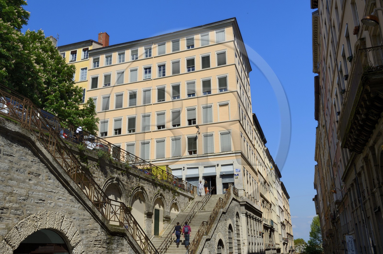 France, Rhône (69), Lyon, site historique classé Patrimoine Mondial de l'UNESCO, quartier de la Croix-Rousse, escalier menant de la rue Burdeau à la place Chardonnet