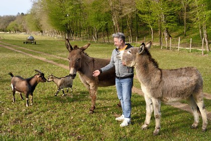France, Charente (16), Chazelles, William Sabourin qui a créé le camping du Buron avec ses deux anes