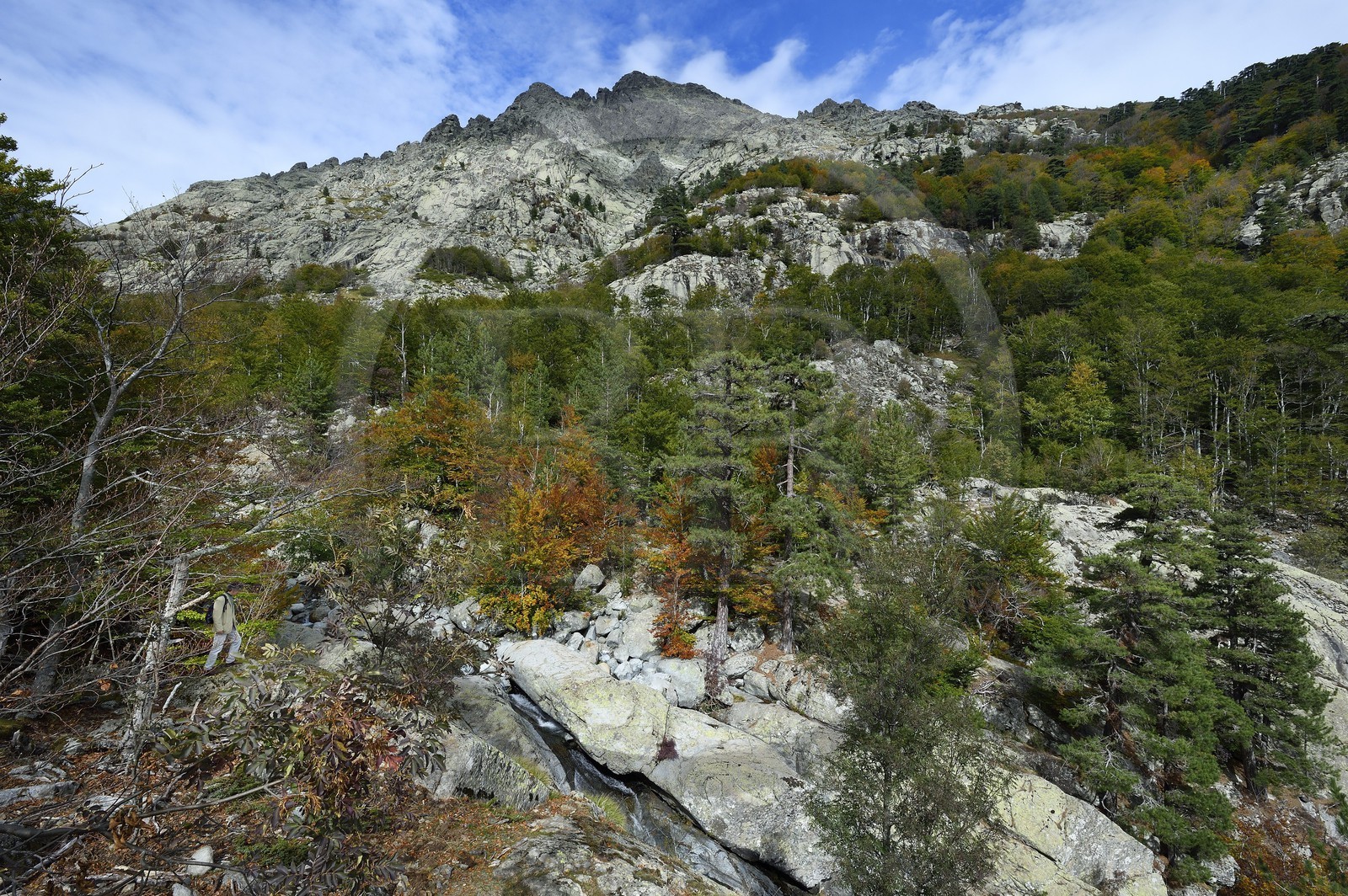 France, Haute-Corse (2B), Vivario, GR 20, étape entre le refuge de l'Onda et Vizzavona, foret de Vizzavona, les cascades des anglais, groupe de cascades dans la vallée de l'Agnone au pied du Monte d'Oro