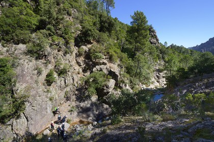 France, Corse-du-Sud (2A), Alta Rocca, Bavella, canyoning dans le torrent de Polischellu