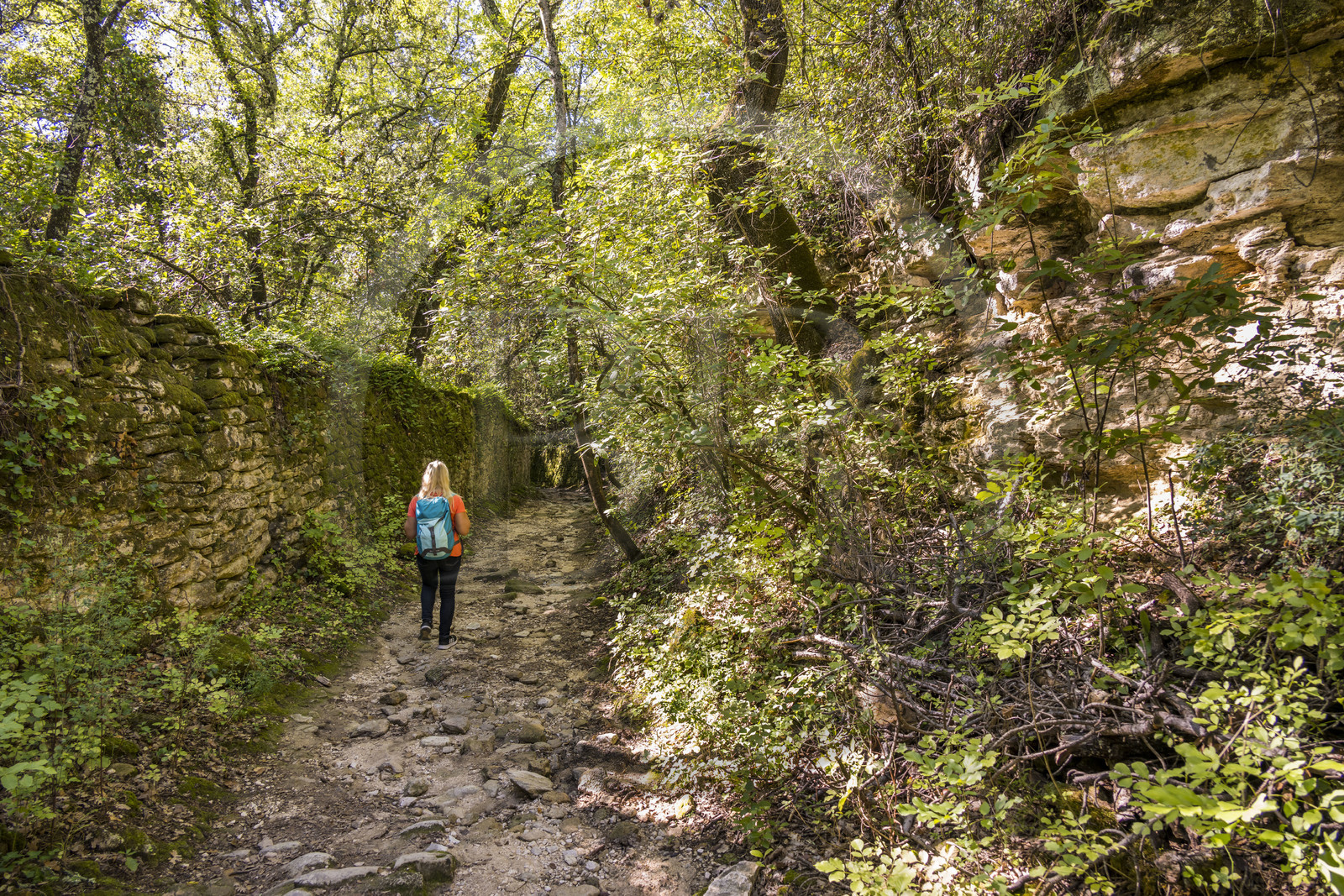 France, Gard (30), Uzès, randonneuse sur un chemin longeant dans la garrigue le tracé de l'aqueduc romain de Nimes