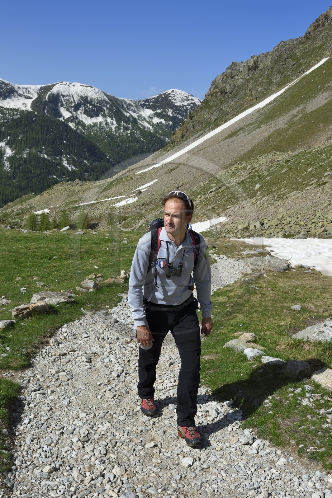 France, Alpes-Maritimes (06), parc national du Mercantour, Haute-Vésubie, randonnée dans le vallon de la Madone de Fenestre, Franck Guigo garde-moniteur du parc
