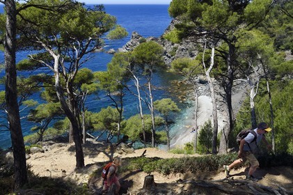 France, Var (83), Six-Fours-les-Plages, randonnée dans le massif du Cap Sicié, plage du Mont Salva vers Le Brusc