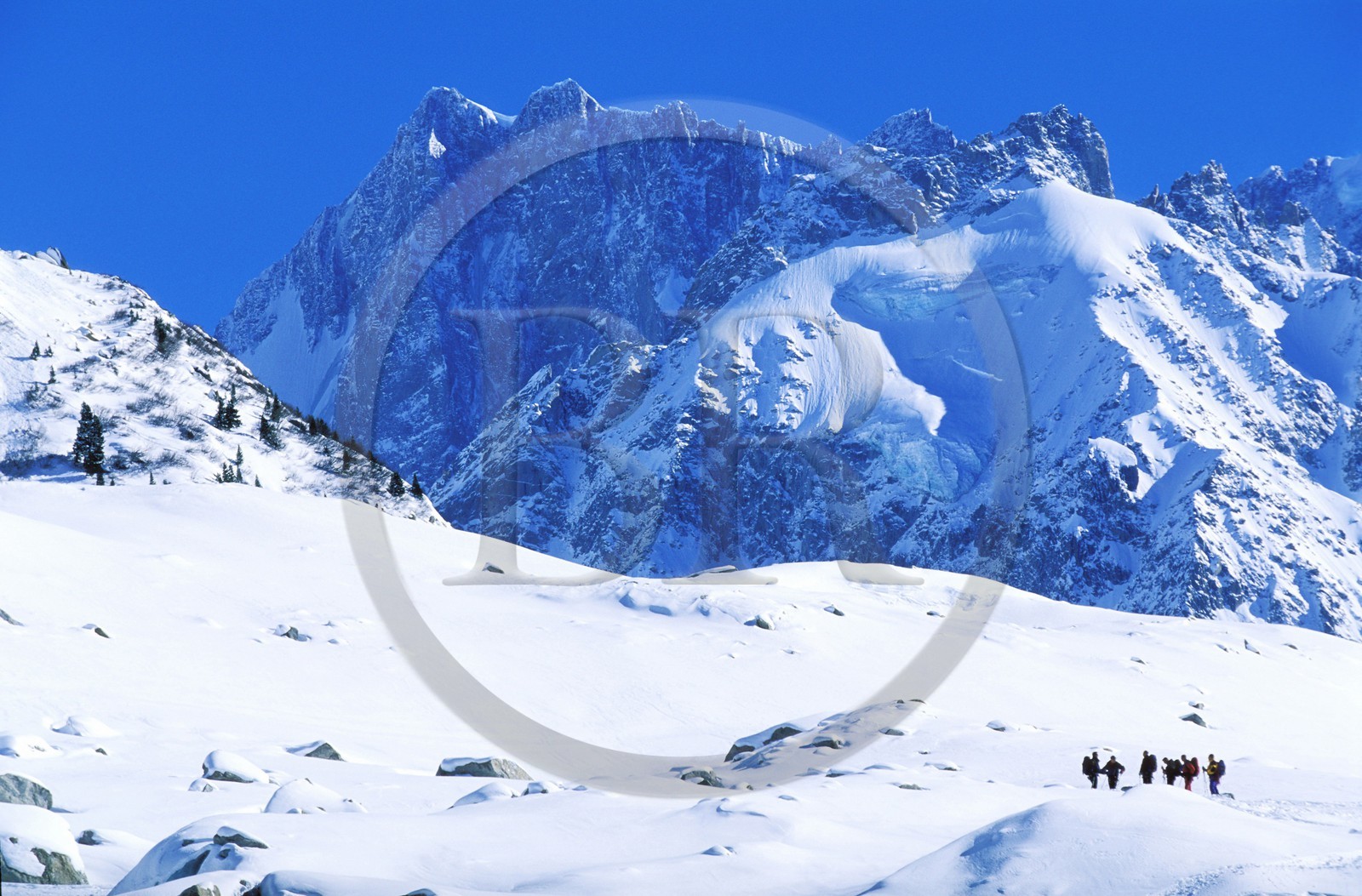 France, Haute-Savoie (74), vallée de Chamonix, un groupe de skieurs près de la Mer de glace dans la Vallée Blanche, Mont-Blanc