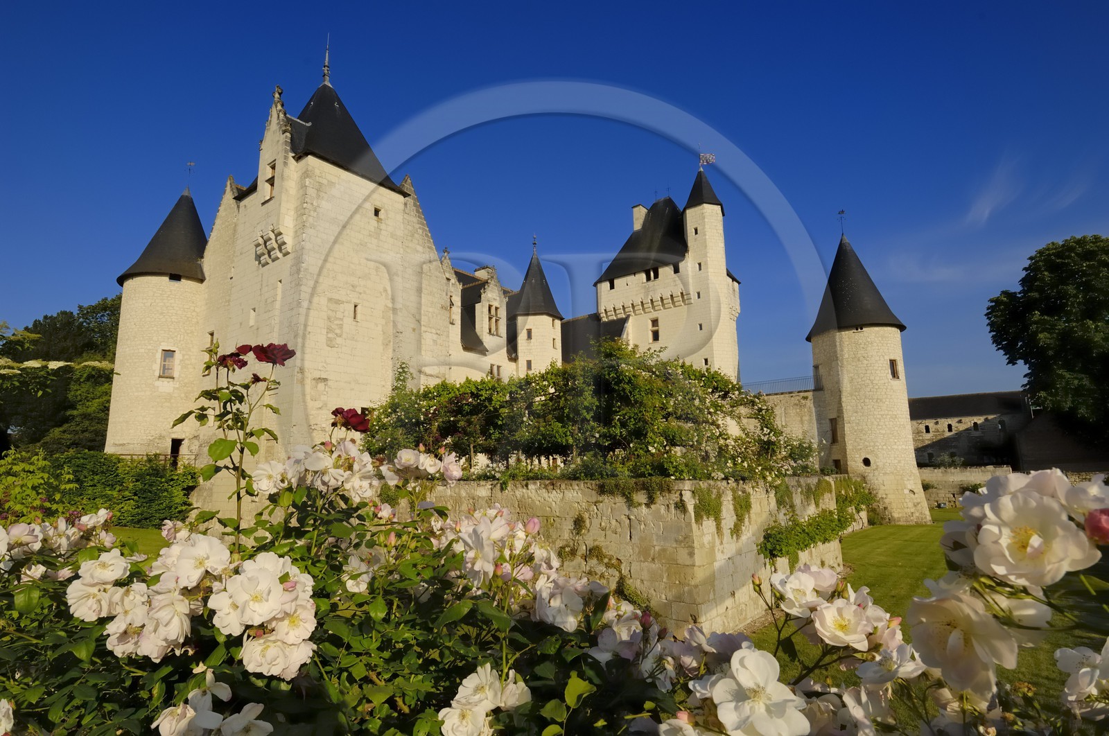 France, Indre et Loire (37), château du Rivau