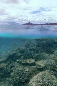France, Ile de Mayotte, Grande-Terre, récif de corail dans la lagune face à la pointe Saziley  sur la cote Est