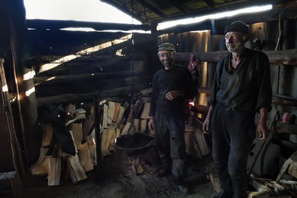 Géorgie, Kakheti, Parc national de Touchétie, bergerie vers le village de Bochorna, les bergers Mikourdzé et Kako y fabriquent leur fromage de manière traditionelle et artisanale