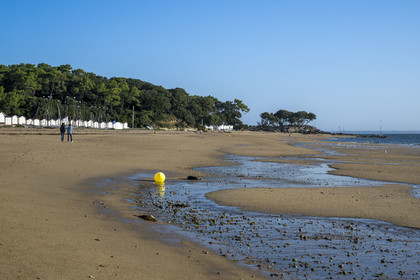 France, Vendée (85), Ile de Noirmoutier, Noirmoutier-en-l'Ile, plage des Sableaux