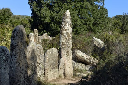 France, Corse-du-Sud (2A), Sartène, alignements de menhirs de Palaggiu (Pagliaju), dressés entre 1900 et 1000 avant Jésus-Christ, avec ses 258 menhirs, c'est le plus important de Méditerranée