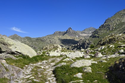 France, Alpes-Maritimes (06), parc national du Mercantour, Vallée des Merveilles parsemée de milliers de gravures rupestres de l'Age de bronze, la piste qui mêne au refuge des Merveilles au pied du Mont Bégo (2872m) à droite, le Mont des Merveilles (2720m) en arrière plan