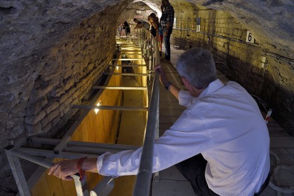 France, Bouches-du-Rhône (13), Arles, les Arènes, amphithéâtre romain de 80-90 après JC, classé Patrimoine Mondial de l'UNESCO, arrivée des taureaux dans le toril situé sous les tribunes