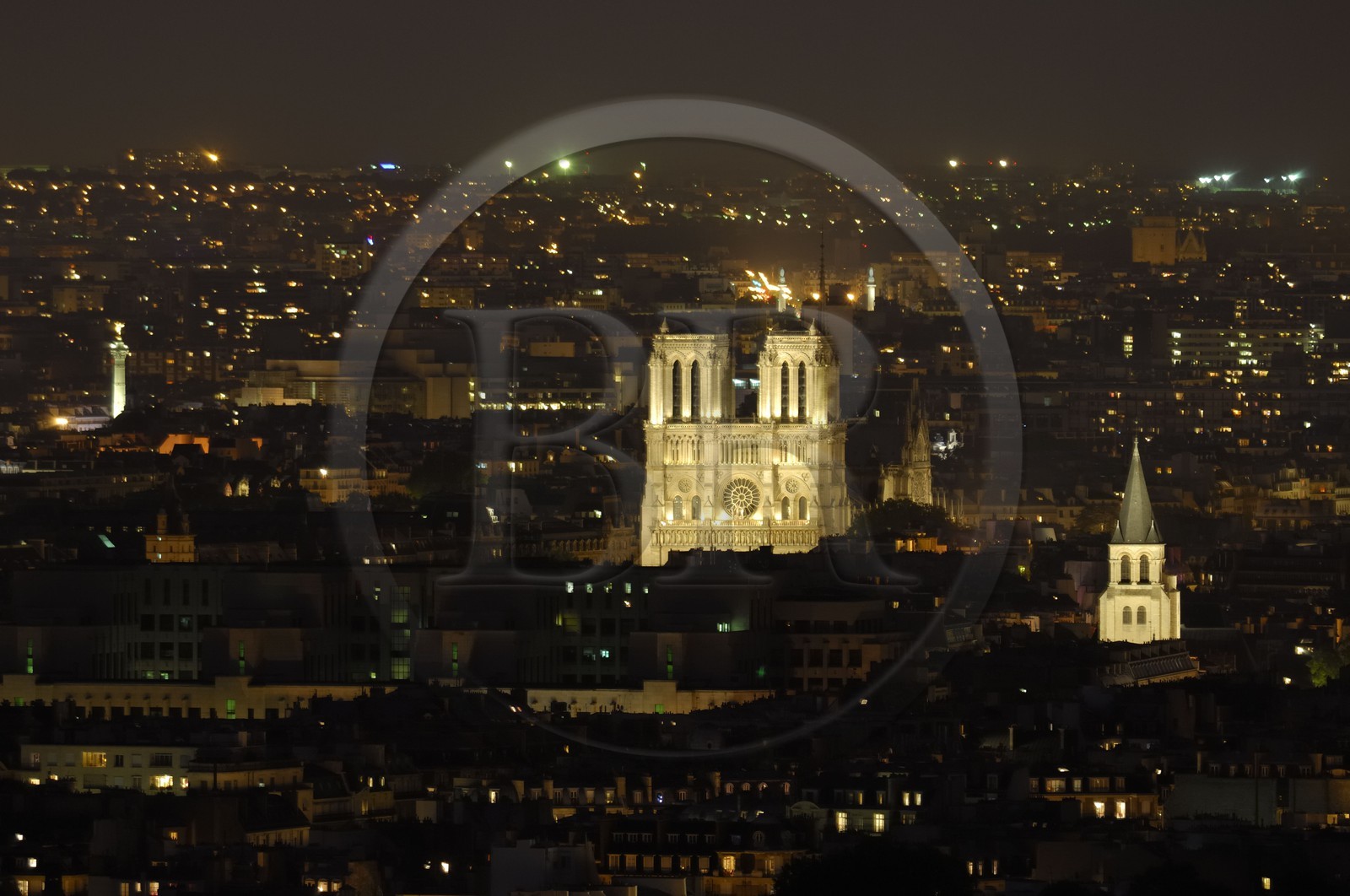 France, Paris (75), Ile de la Cité, cathédrale Notre-Dame de Paris de nuit