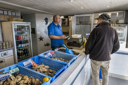 France, Vendée (85), Ile de Noirmoutier, La Guérinière, le port ostréicole du Bonhomme, ostréiculteur la Godaille