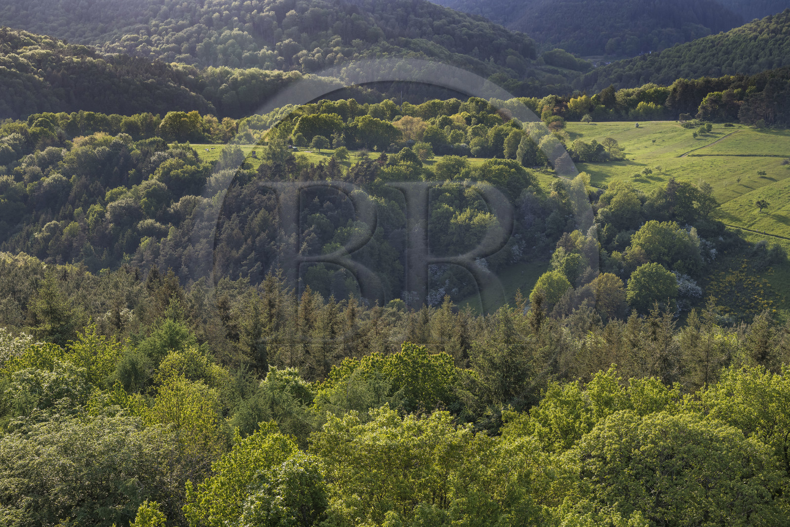 France, Bas-Rhin (67), Parc naturel régional des Vosges du Nord, Lembach, foret domaniale de Steinbach et la frontière franco-allemande au creux de la vallée
