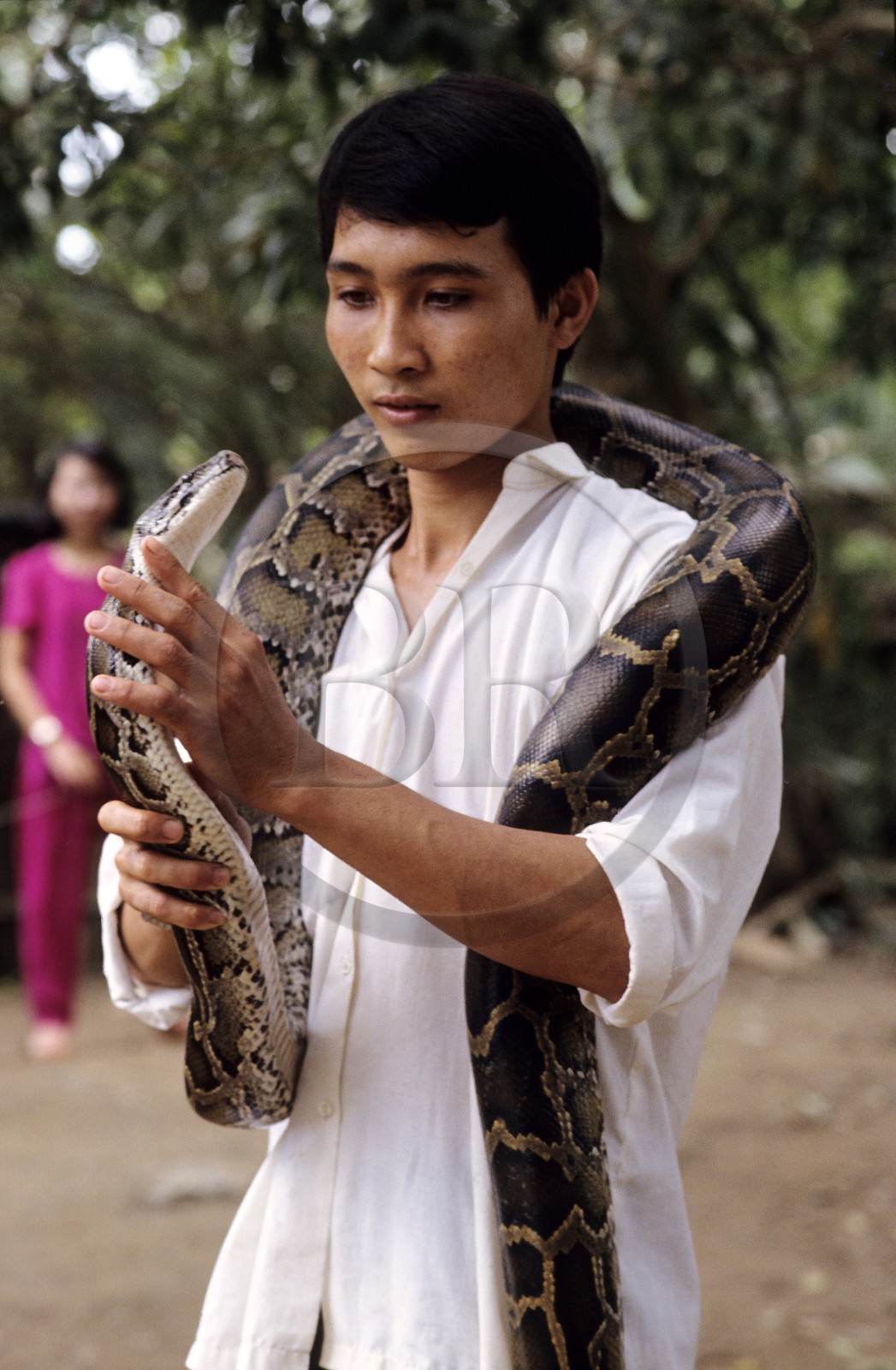 Vietnam, My Tho, la ferme aux serpents