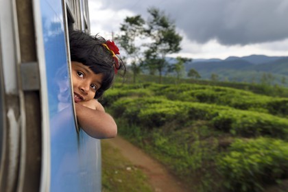 Sri Lanka, Province du Centre, trajet en train dans la région montagneuse de la culture du thé entre Hatton et Badulla, ici aux abords de Nanuoya