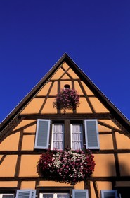 France, Haut-Rhin (68), Eguisheim, labellisé Les Plus Beaux Villages de France, une maison traditionnelle à colombage