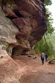 France, Bas-Rhin (67), Parc Naturel régional des Vosges du Nord, La Petite Pierre, randonneuses sur le sentier des Trois Roches au Rocher des Païens