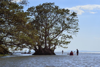 Nicaragua, Ile d'Ometepe sur le lac Nicaragua, embouchure du Rio Istian sur le lac