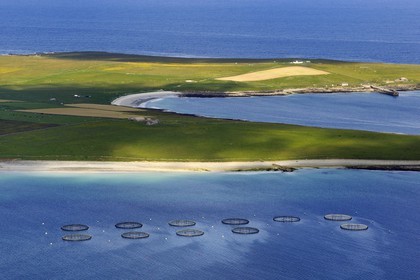 Royaume-Uni, Ecosse, Iles Orcades, Ile de Papa Westray, pisciculture en mer (vue aérienne)
