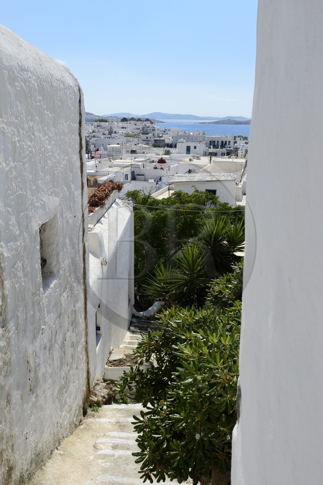 Grèce, Les Cyclades, mer Égée, île de Mykonos, Chora (Mykonos town)
