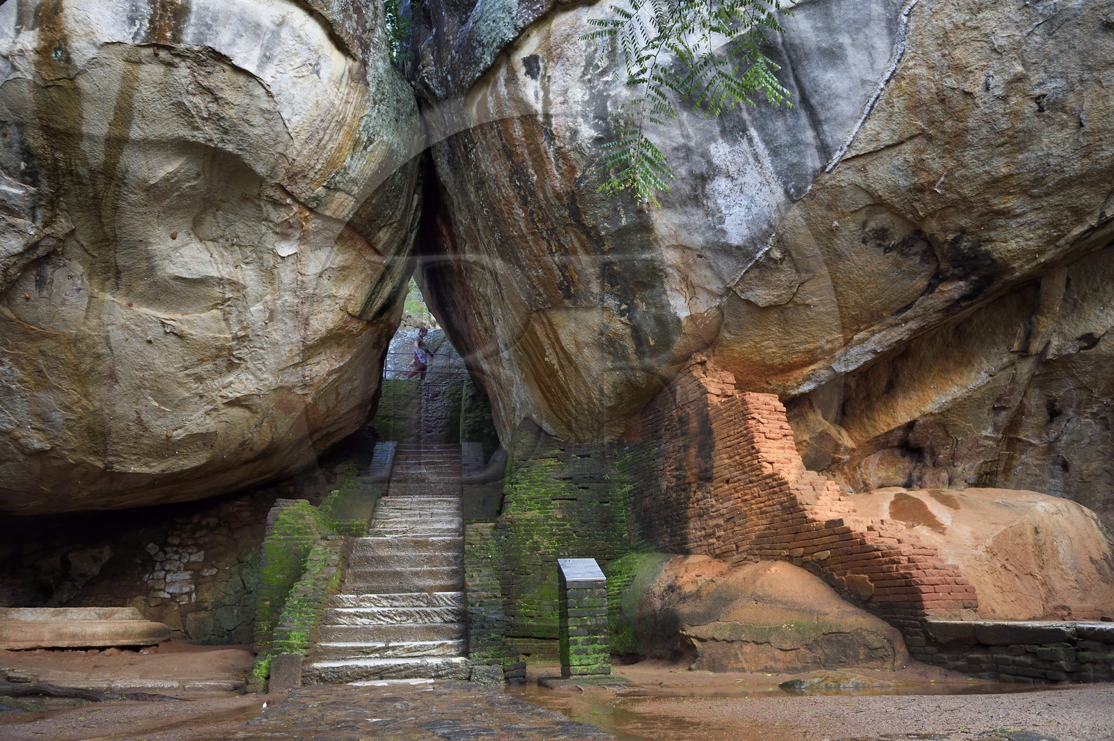 Sri Lanka, province centrale, district de Matale, Sigiriya, ville ancienne de Sigiriya classée patrimoine mondial de l'UNESCO, escalier d'accès à l'ancien palais forteresse du Rocher du Lion