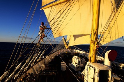 Caraïbes, le 5 mâts SPV Royal Clipper toutes voiles dehors, un marin grimpe dans les voiles