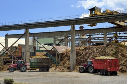 France, Ile de la Reunion, Saint-Louis, l'usine sucrière du Gol, arrivée des chargements de canne à sucre dans les cachalots (camions ou remorques)