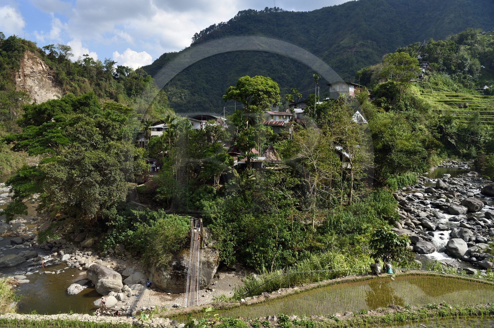 Philippines, province d'Ifugao, les rizières en terrasses de Banaue, classées Patrimoine Mondial de l'UNESCO, pont suspendu qui mêne au village de Cambulo