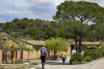 France, Vaucluse (84), Dentelles de Montmirail, Séguret, Domaine viticole de Mourchon