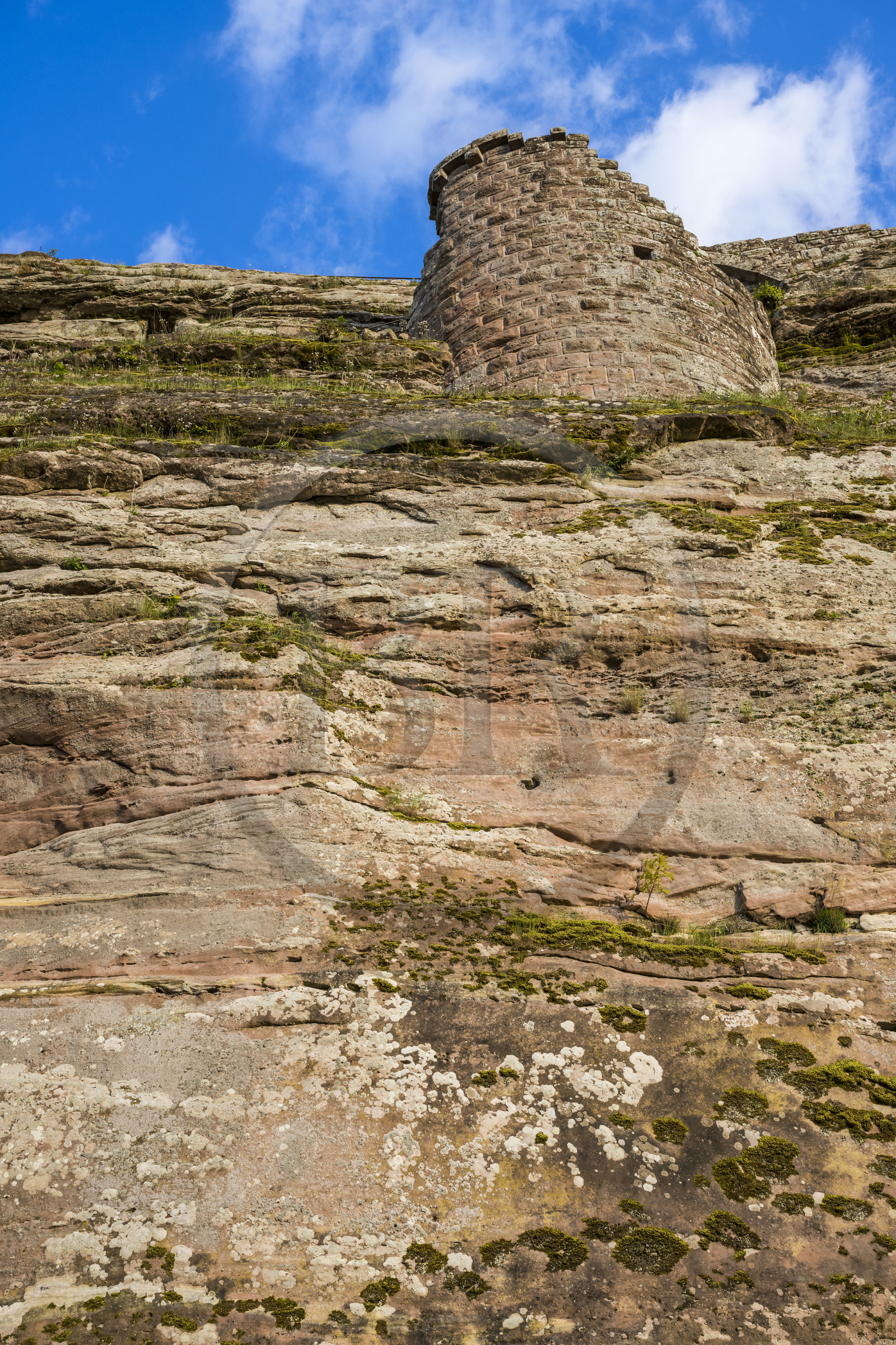 France, Bas-Rhin (67), Parc naturel régional des Vosges du Nord, Lembach, ruines du chateau de Fleckenstein