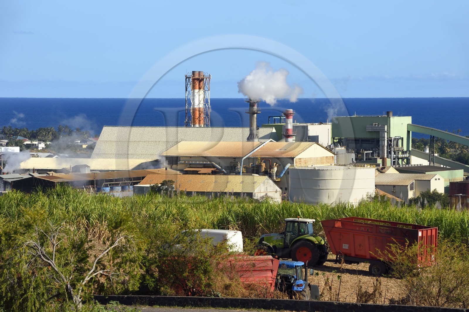 France, Ile de la Reunion, Saint-Louis, l'usine sucrière du Gol derrière les champs de canne à sucre