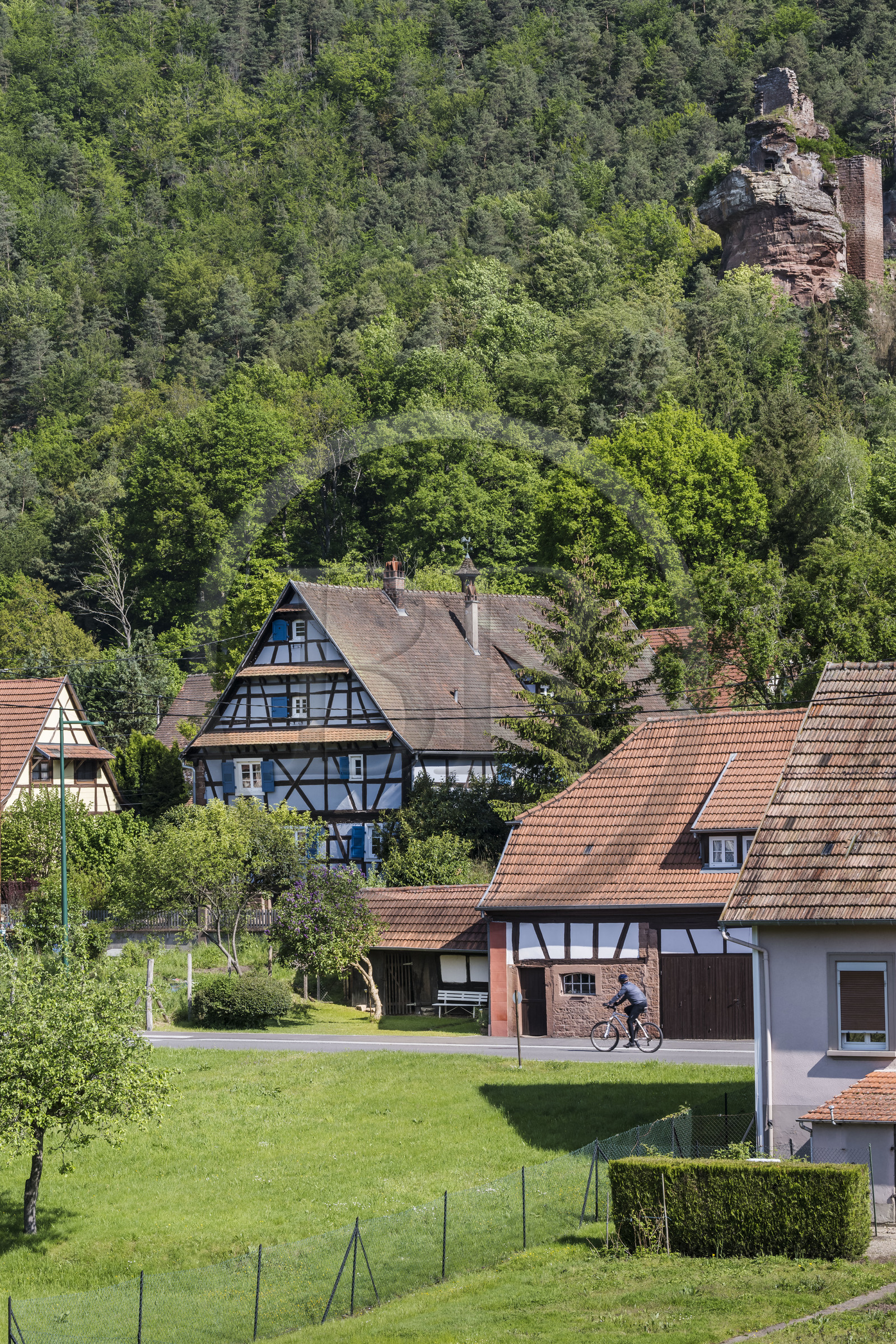 France, Bas-Rhin (67), Parc naturel régional des Vosges du Nord, Obersteinbach, le village dominé par les ruines du chateau du Petit-Arnsberg perché sur un rocher de grès