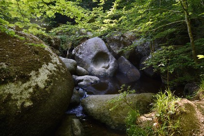 France, Finistère (29), parc naturel régional d'Armorique, Huelgoat, chaos granitique de la forêt du Huelgoat, la rivière d'Argent