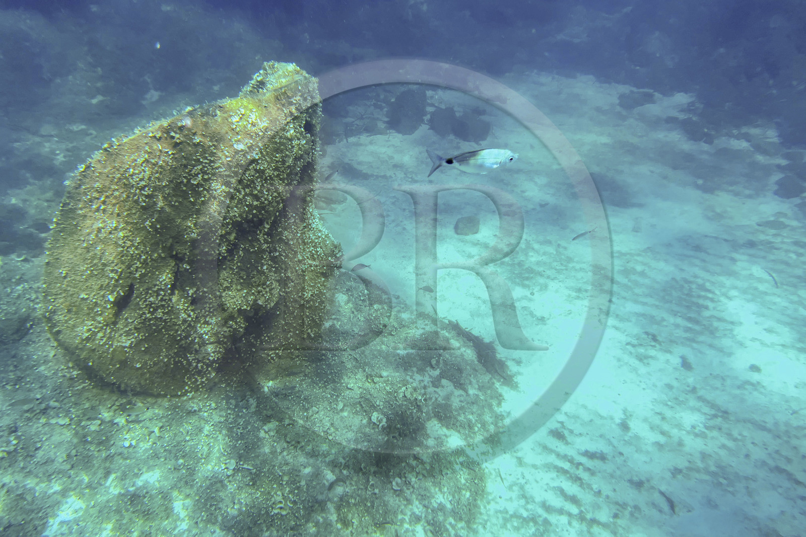 France, Alpes-Maritimes (06), Cannes, Iles de Lérins, Ile Sainte-Marguerite, l’écomusée sous-marin formé de statues monumentales de l’artiste Jason deCaires Taylor, moulées selon les visages de 6 Cannois et immergées à une distance allant de 84 à 132 mètres du rivage pour une profondeur de 3 à 5 mètres