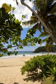 Sri Lanka, Province du Sud, Weligama, plage de Mirissa