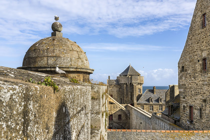 France, Ille-et-Vilaine (35), Côte d'Emeraude, Saint-Malo, le chateau de Saint-Malo (XVème siècle) abrite l'Hotel de Ville ainsi que le Musée d'Histoire de la Ville et du Pays Malouin