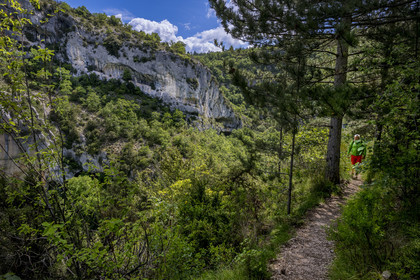 France, Vaucluse (84), Parc naturel régional du Mont Ventoux, Monieux, Gorges de La Nesque, randonneur progressant sur un sentier sur les hauteurs face au barres rocheuses