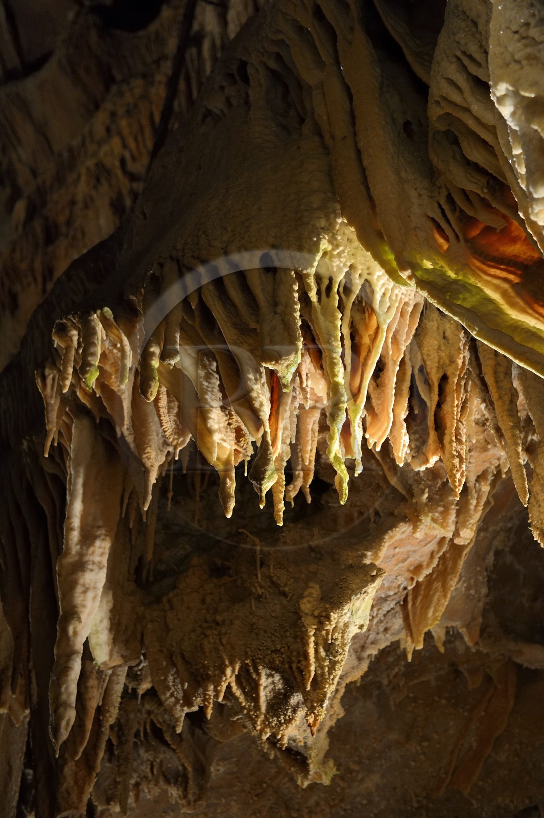 France, Ardèche (07), Saint-Marcel-d'Ardèche, la Grotte de la Madeleine