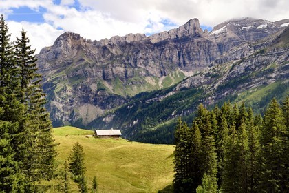 Suisse, Canton de Vaud, Ormont-Dessus, Les Diablerets, ferme vers le lac Retaud au dessus du Col du Pillon et la montagne de Schluchhorn en arrière plan