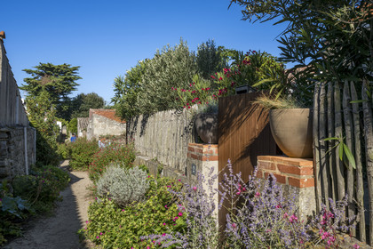 France, Vendée (85), Ile de Noirmoutier, Noirmoutier-en-l'Ile, Le Vieil, chemin d'accès aux maison du quartier de la plage du Mardi Gras