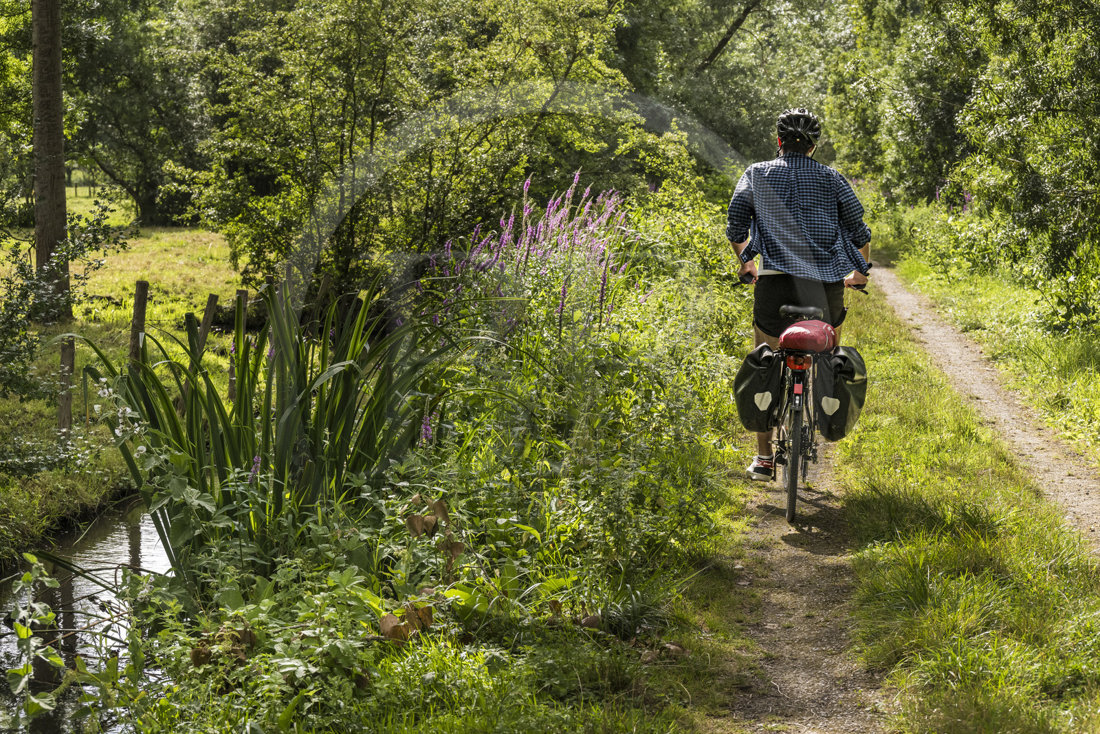 France, Deux-Sèvres (79), le Marais Poitevin, la Venise Verte, Le Vanneau-Irleau, randonnée à bicyclette le long des canaux