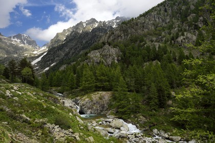 France, Alpes-Maritimes (06), parc national du Mercantour, Haute-Vésubie, vallon de la Gordolasque