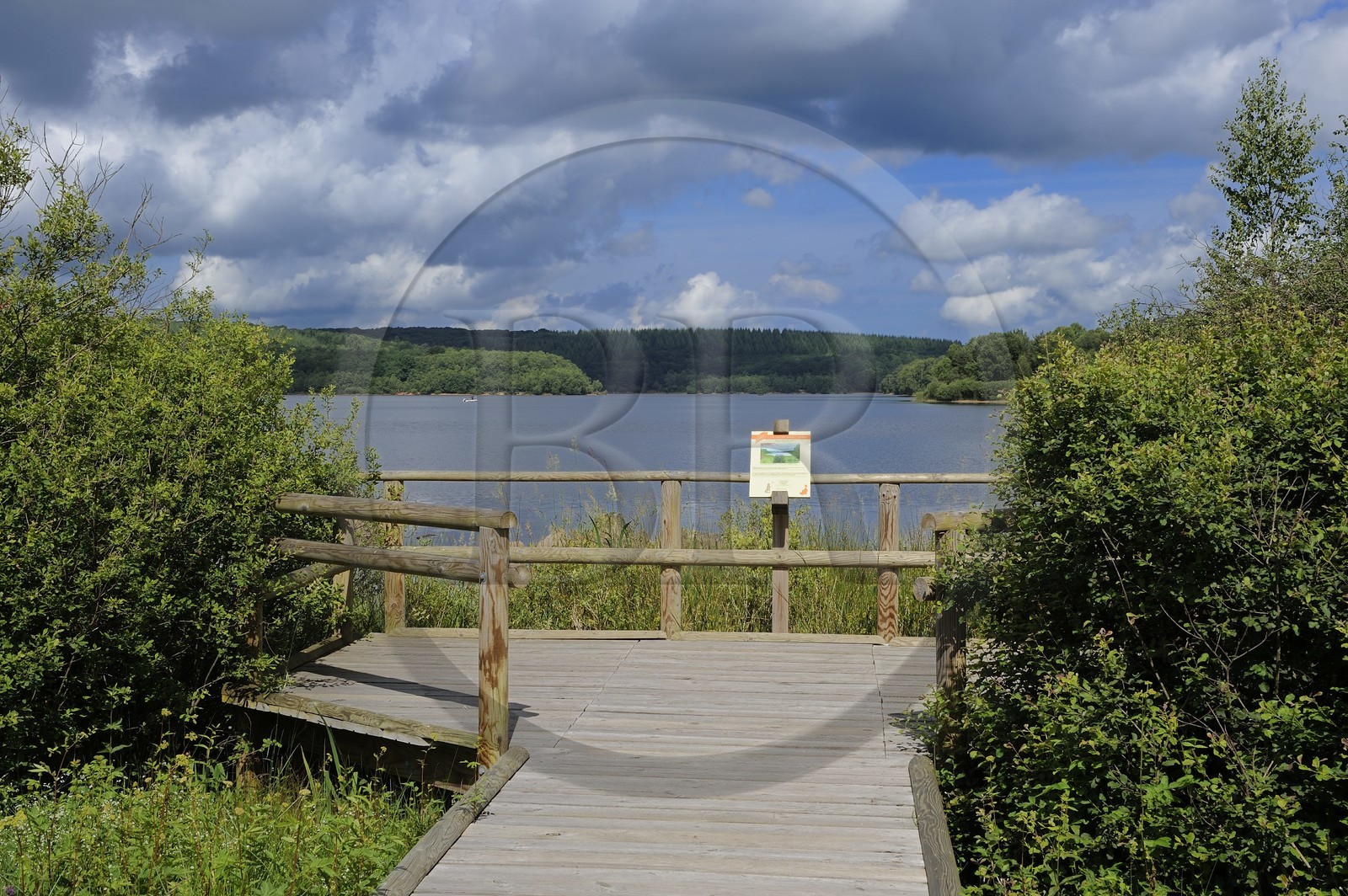 France, Nièvre (58), lac de Saint-Agnan, sentier de découverte balisé
