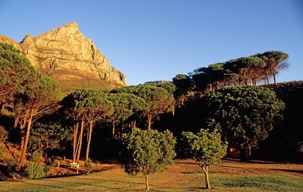Afrique du Sud, péninsule du Cap, ìBraaiî barbecue du dimanche